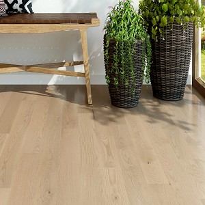 PRO Red Oak
